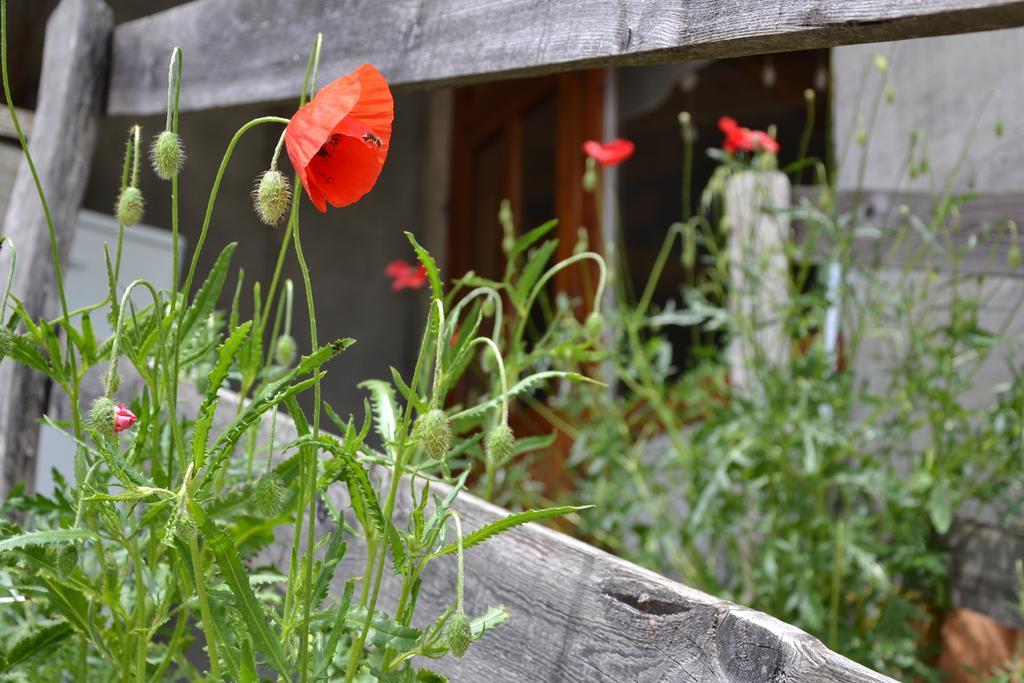 Holiday Farmhouse Skvor Robidisce Экстерьер фото